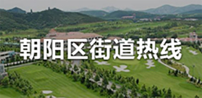 朝阳区街道热线